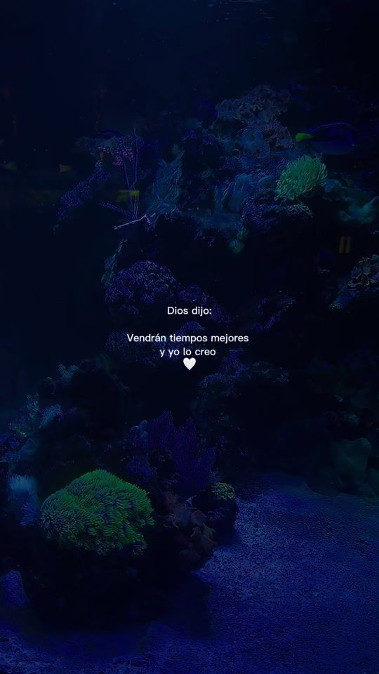 TikTok video thumbnail by god_is_life00