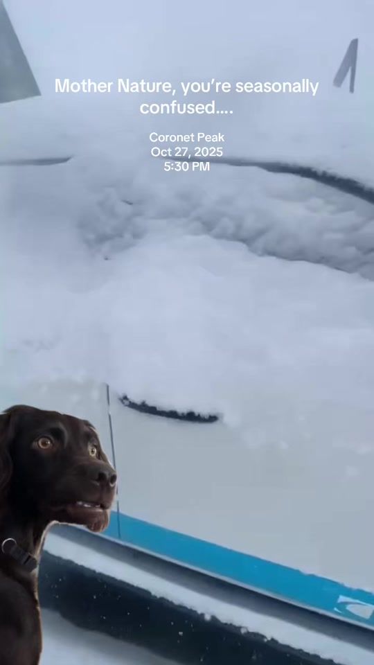 TikTok video thumbnail by coronetpeak