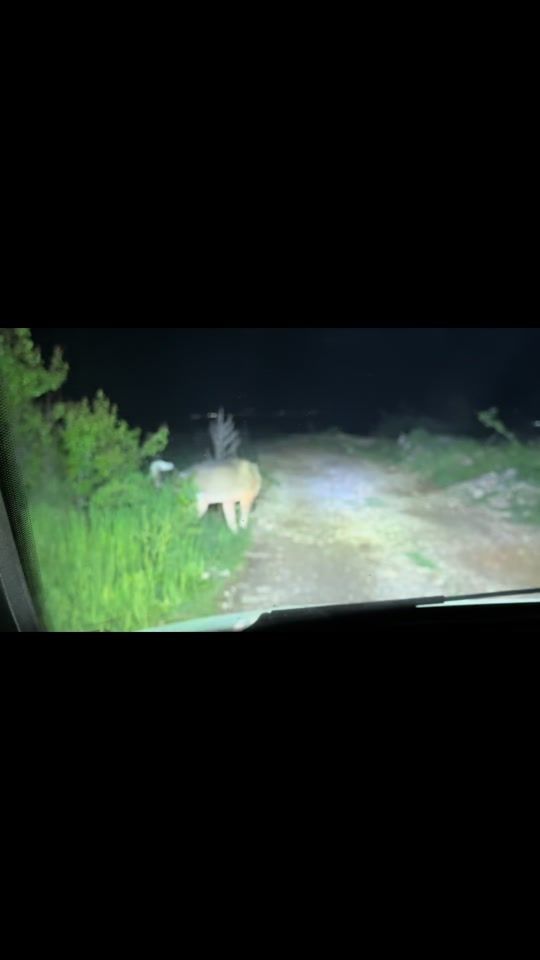 TikTok video thumbnail by dakiprizren