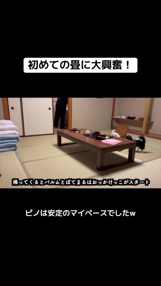 TikTok video thumbnail by piiinostagram.tktk