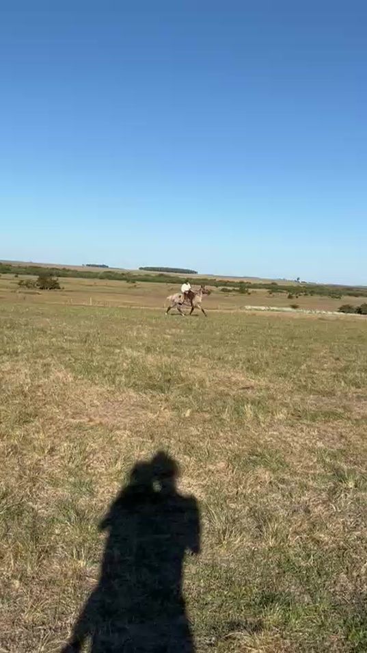 TikTok video thumbnail by lgbo07