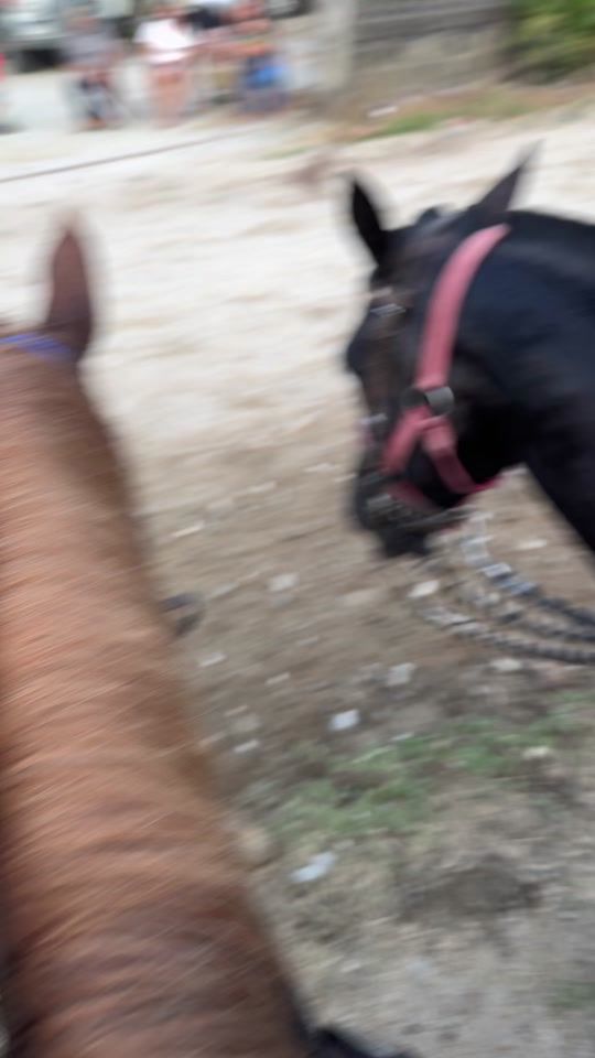 TikTok video thumbnail by carrerasdecintas.hn