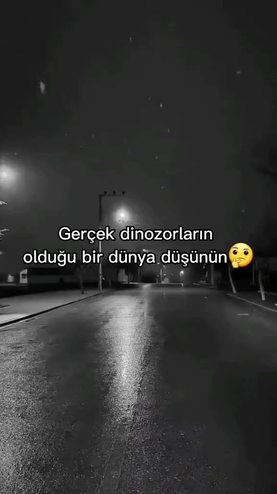 TikTok video thumbnail by 1enderr