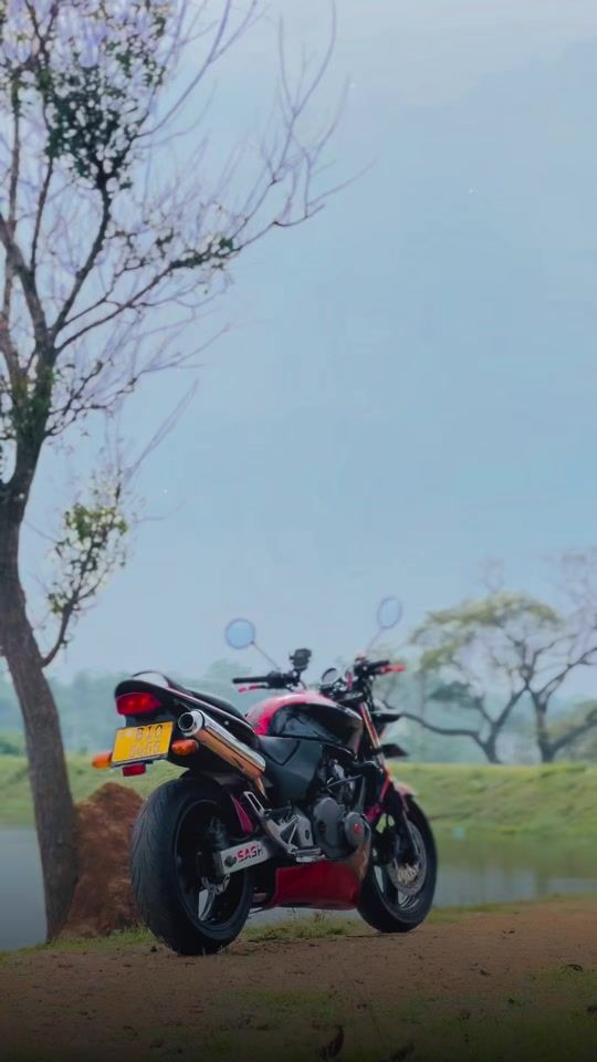 TikTok video thumbnail by s_a_s_h_2.0