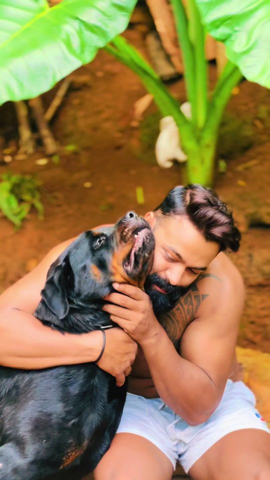 TikTok video thumbnail by rottweilerdogs