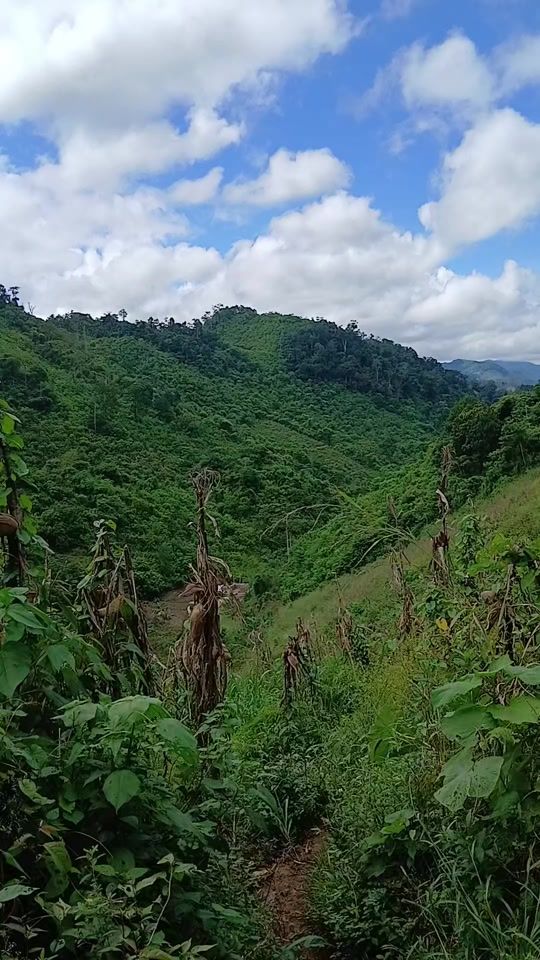 TikTok video thumbnail by hugorenepanachun
