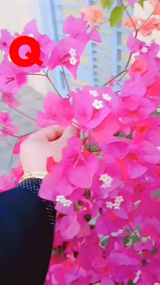 TikTok video thumbnail by adeeba_noreen25