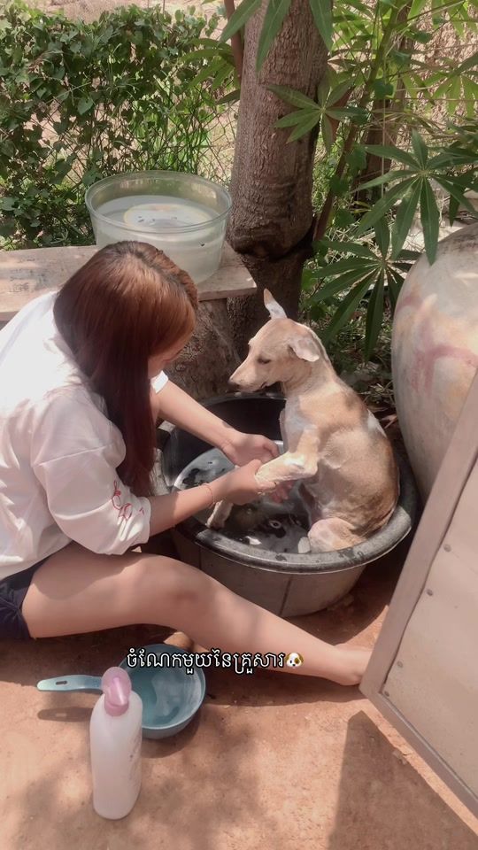 TikTok video thumbnail by user__koka