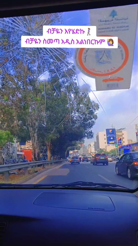 TikTok video thumbnail by hamilemal