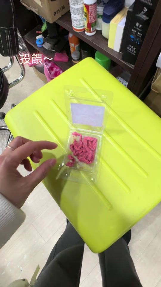 TikTok video thumbnail by liuxiaomi21