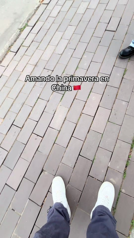 TikTok video thumbnail by jonathangironn