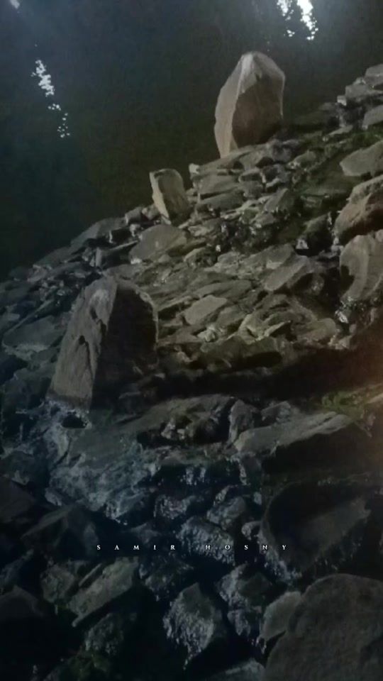 TikTok video thumbnail by the..tayf