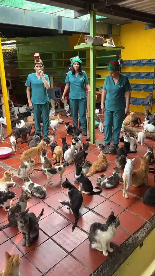 TikTok video thumbnail by yanetlatropagatuna