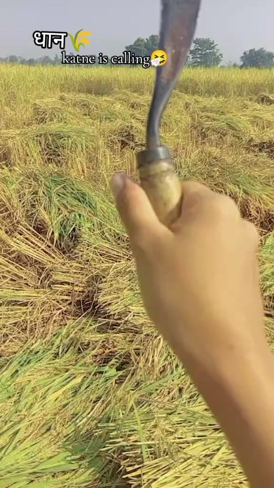 TikTok video thumbnail by debika...magar