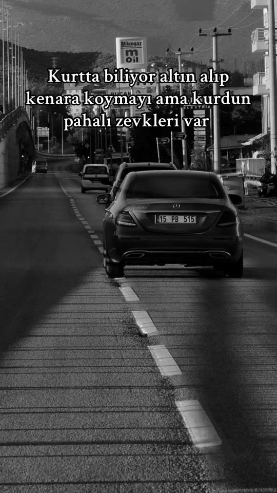 TikTok video thumbnail by mustanatalay