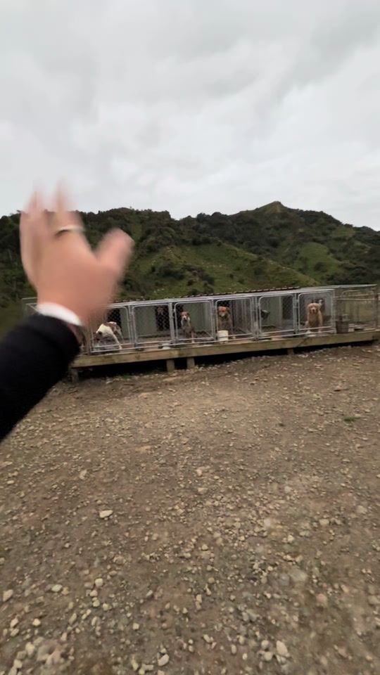 TikTok video thumbnail by jorge.coplestone