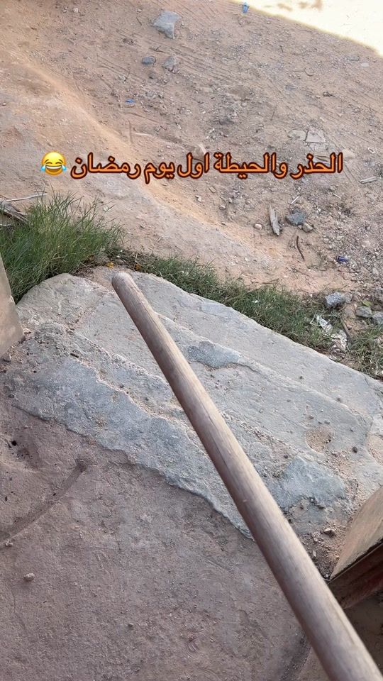 TikTok video thumbnail by mk_tarek