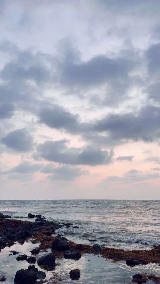 TikTok video thumbnail by msa_3332