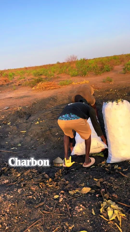 TikTok video thumbnail by swaggwaragang