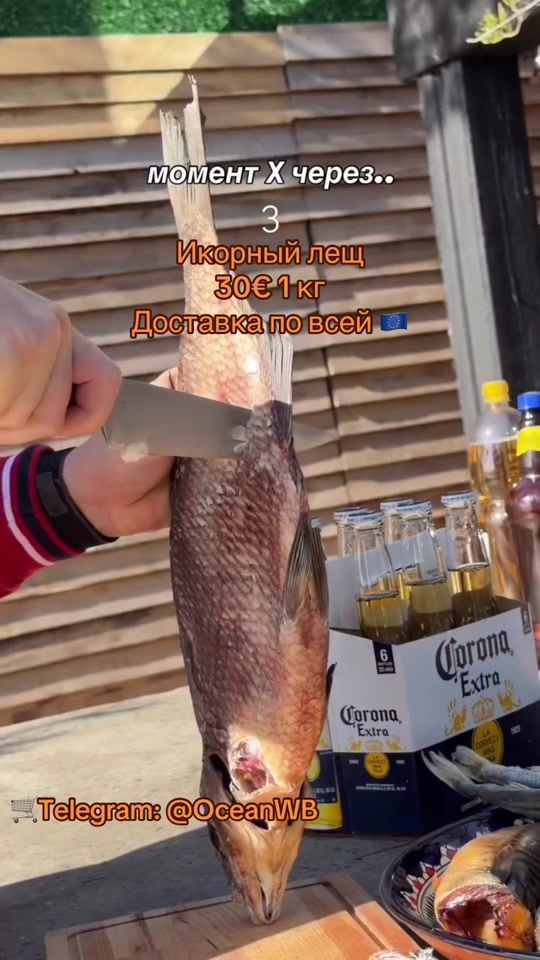 TikTok video thumbnail by ocean.md.fish.store