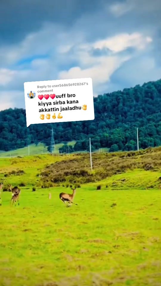 TikTok video thumbnail by 19abate243
