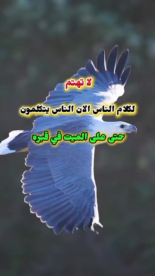 TikTok video thumbnail by the.store039