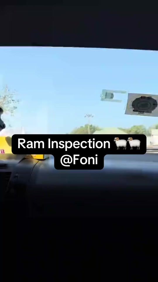 TikTok video thumbnail by che_rocky
