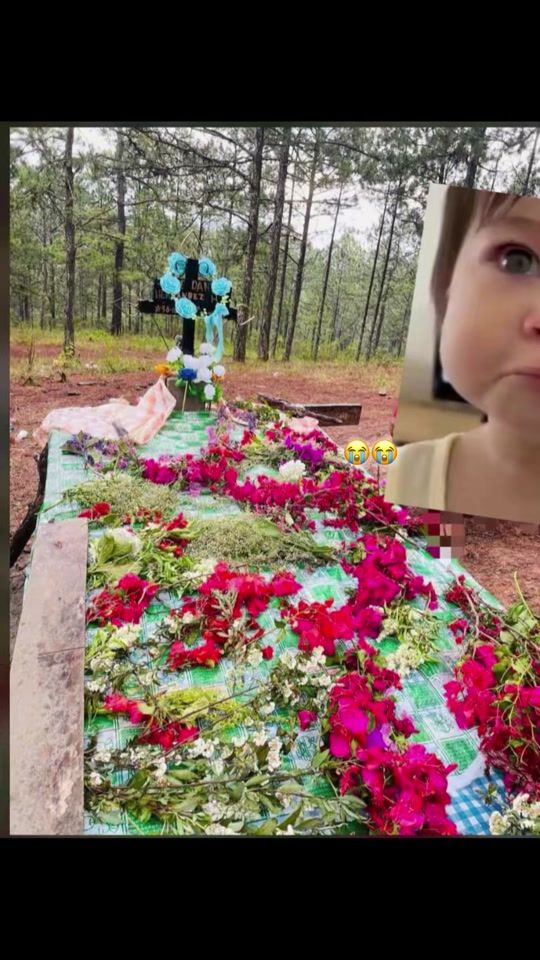 TikTok video thumbnail by nohemi...1234