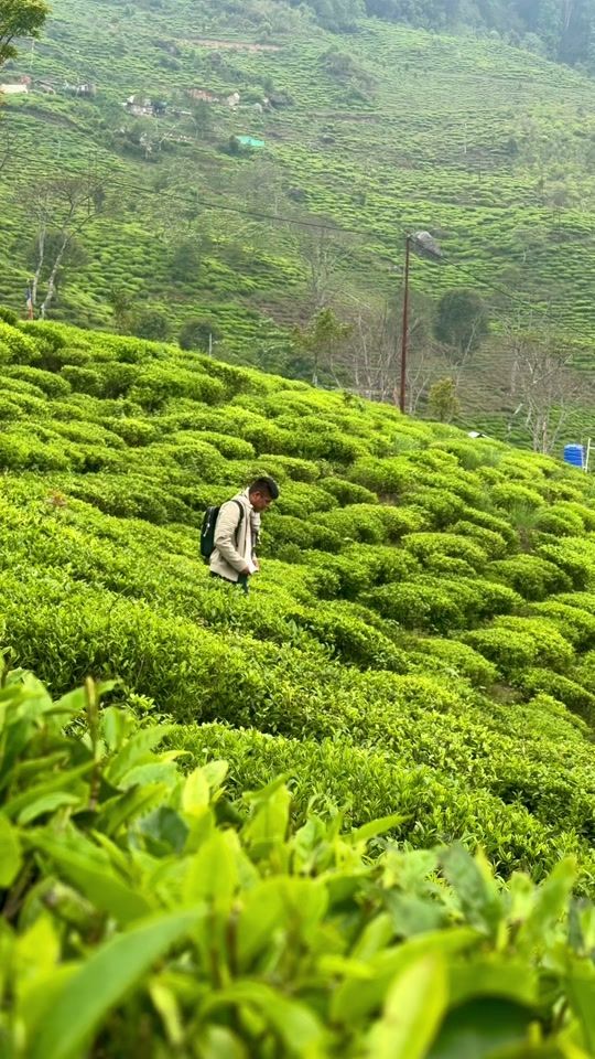 TikTok video thumbnail by bhutan.sonam.wangd