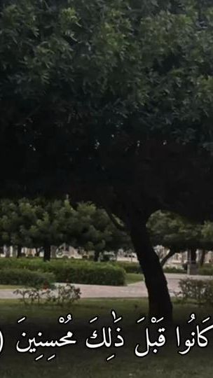 TikTok video thumbnail by user2name146