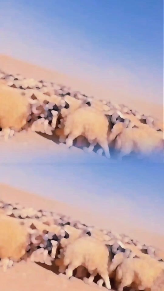 TikTok video thumbnail by rishani54