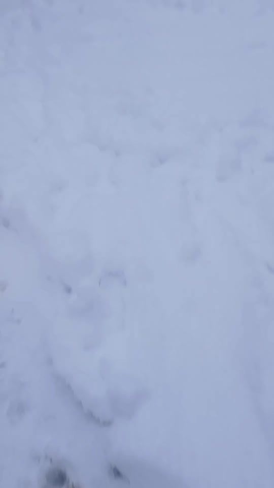 TikTok video thumbnail by nesimdalga