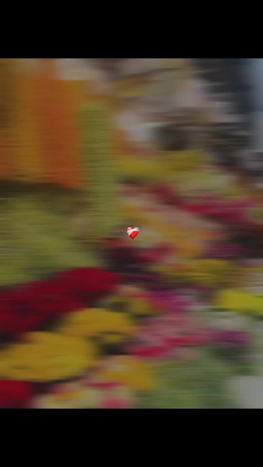 TikTok video thumbnail by ayshapikachu__200