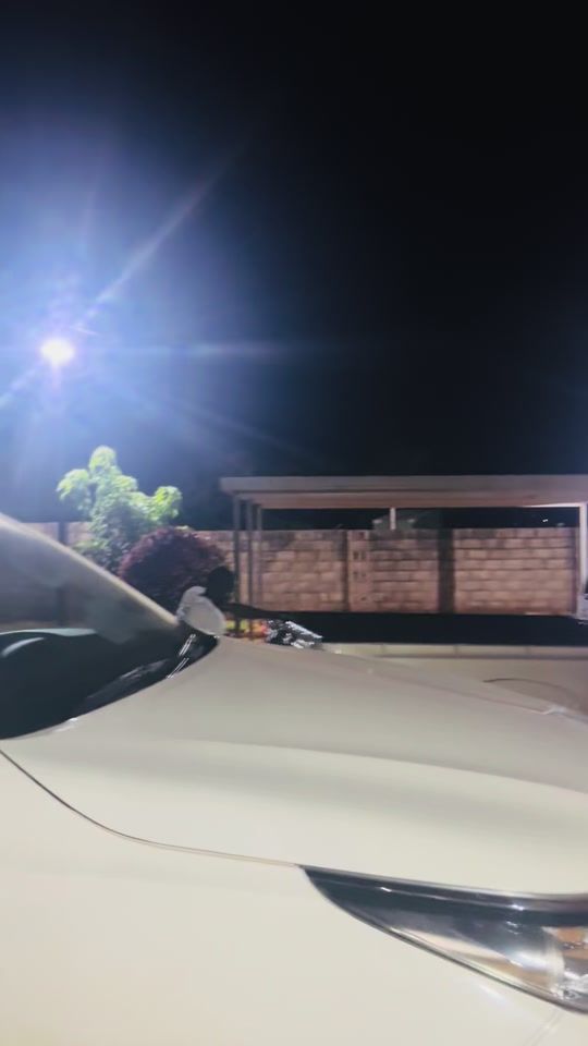TikTok video thumbnail by mbuyisa024