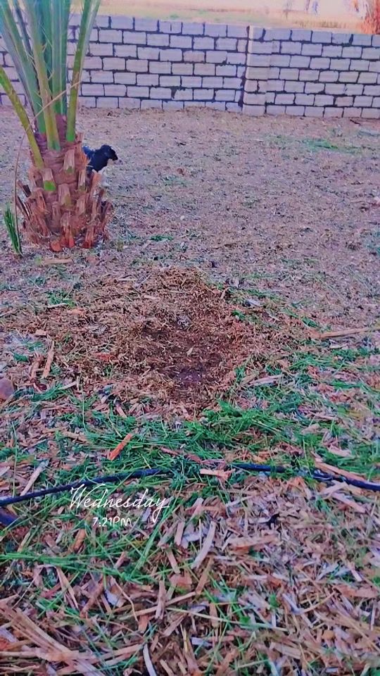 TikTok video thumbnail by user3025981209232