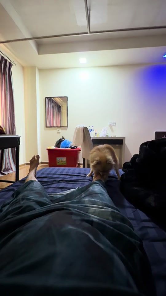 TikTok video thumbnail by pan.pan16521