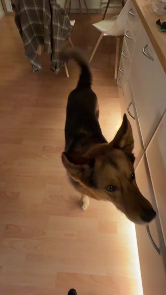 TikTok video thumbnail by malenamalenacoco