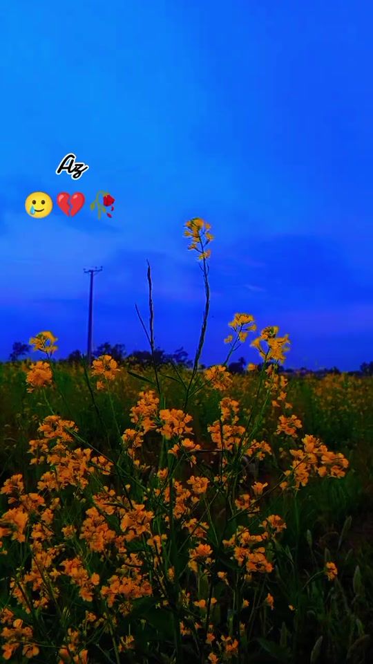 TikTok video thumbnail by mumtaz_lashari_49