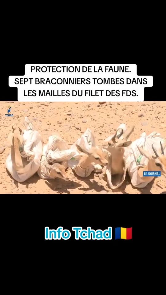 TikTok video thumbnail by ibra3880