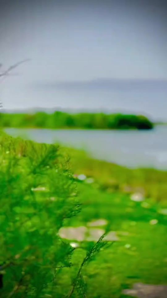 TikTok video thumbnail by scb..00.1