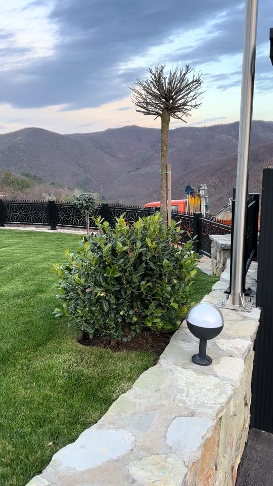TikTok video thumbnail by newgardenstyle