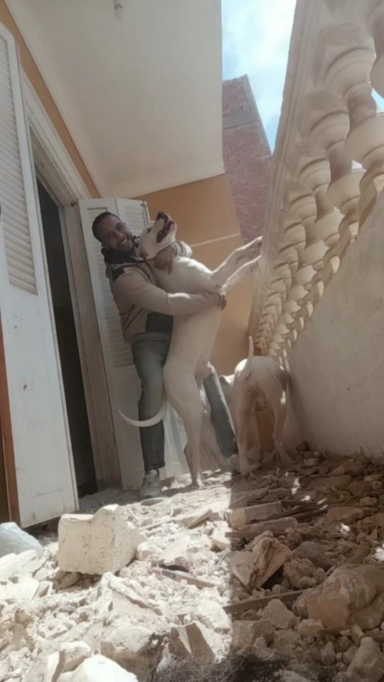 TikTok video thumbnail by yousafayman