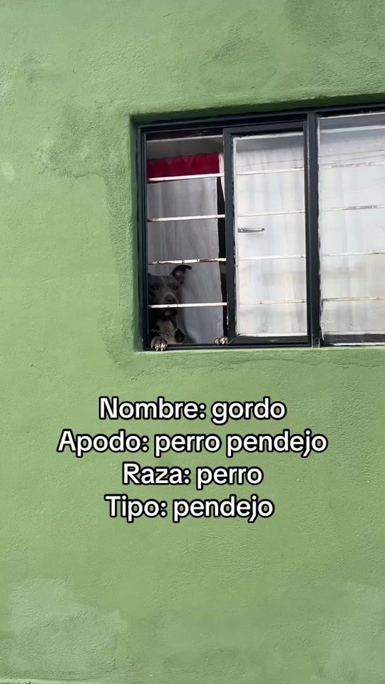 TikTok video thumbnail by scanda.losa