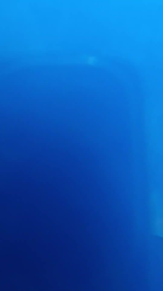 TikTok video thumbnail by ivanovski373