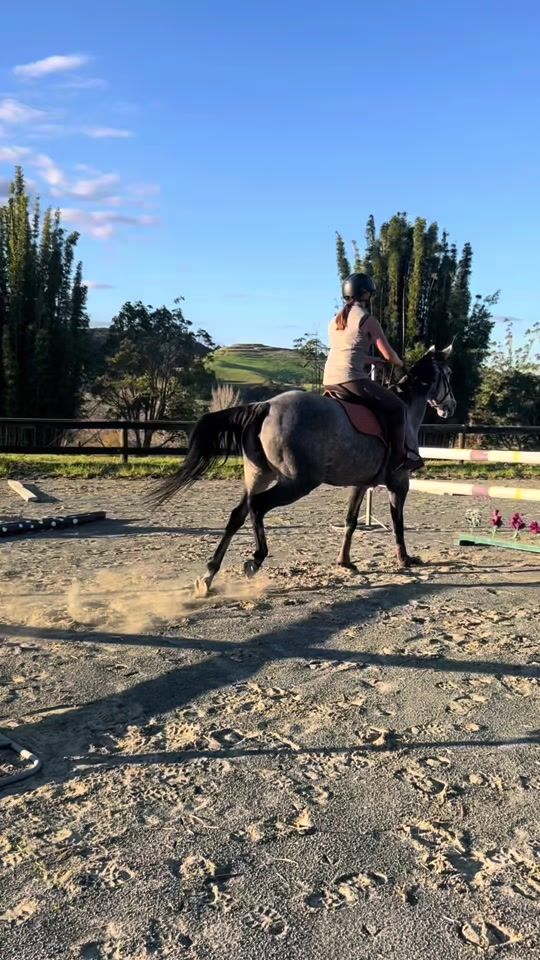TikTok video thumbnail by ellagarlick.showjumping