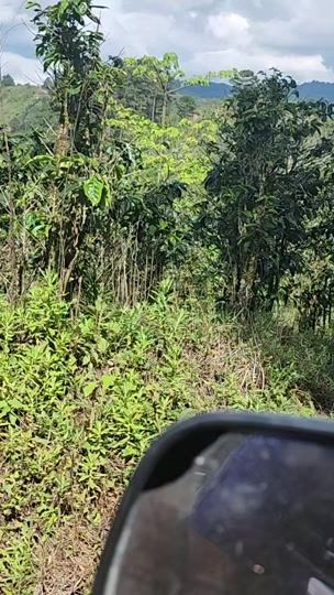 TikTok video thumbnail by elple25