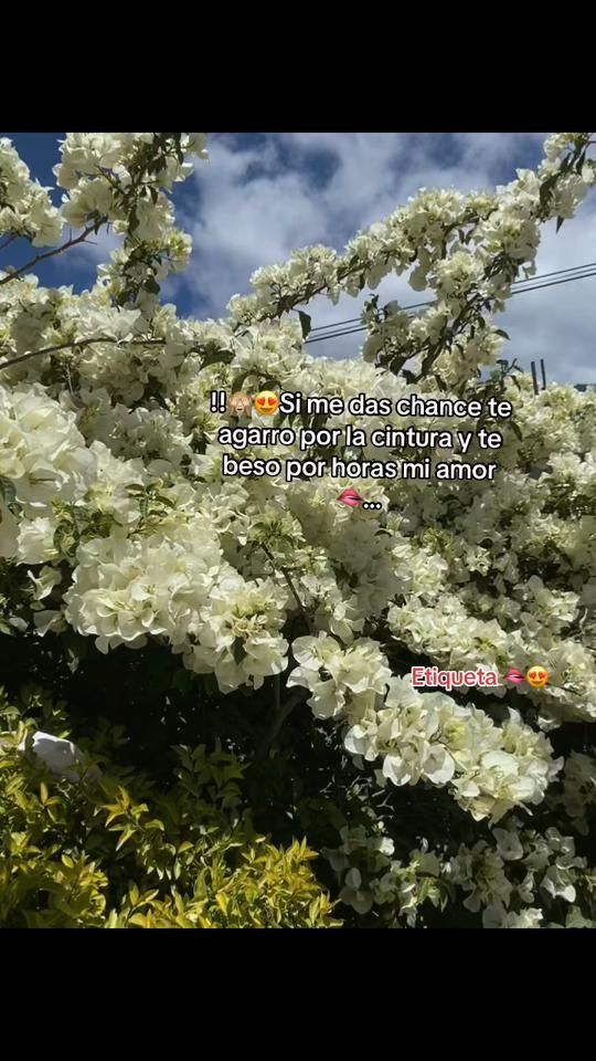TikTok video thumbnail by 77michel38