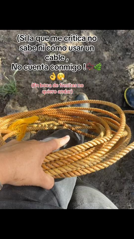 TikTok video thumbnail by liseht564