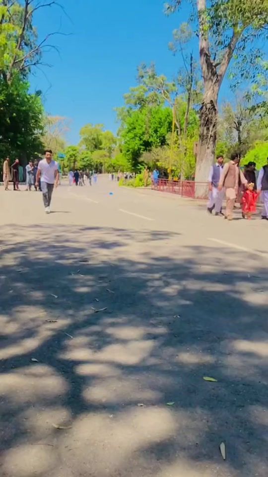 TikTok video thumbnail by ibadat_anwar