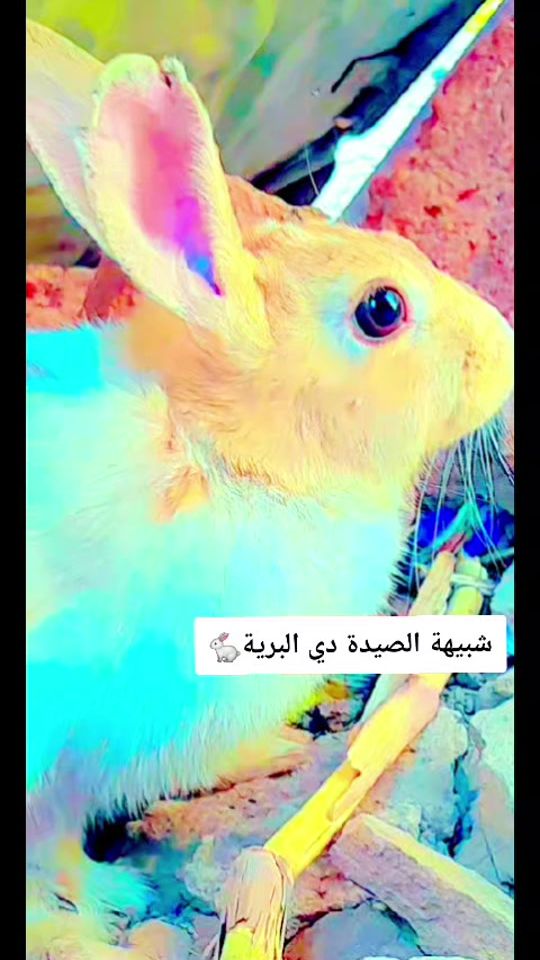TikTok video thumbnail by .8188321
